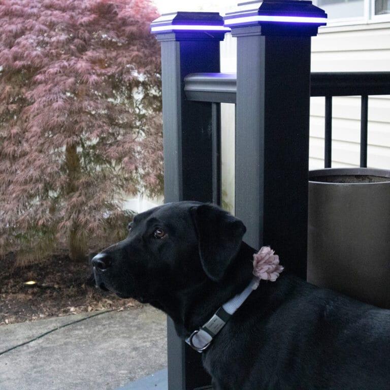 Tru-Scapes® 4.5” Composite Color Changing LED Deck Post Cap Light (Fits TREX Transcend Posts) - Image 5